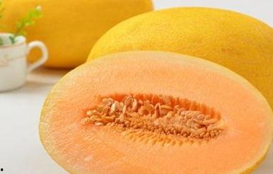 吃哈密瓜可以吃黄瓜吗,同食相宜的夏日美味搭配