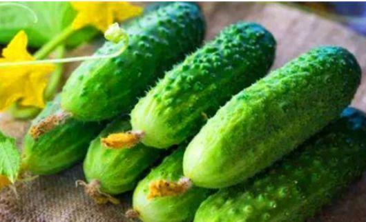 吃哈密瓜可以吃黄瓜吗,同食相宜的夏日美味搭配