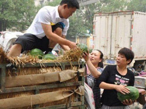 老人吃老瓜,探寻老人与老瓜的温馨故事