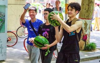 沧州学校吃瓜,揭秘校园食品安全背后的真相