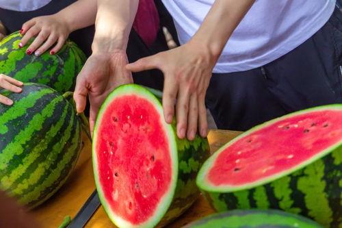 长安大学疫情吃瓜,校园生活突变，吃瓜群众热议真相