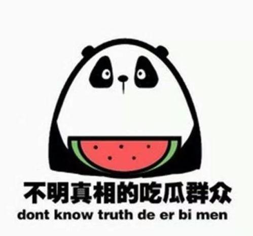 吃瓜看瓜同志是什么意思,网络热词背后的文化现象