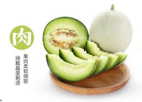 吃网纹瓜恶心,网纹瓜引发恶心的奇妙体验揭秘