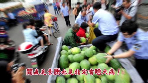 宁夏的吃瓜群众,揭秘当地独特美食文化