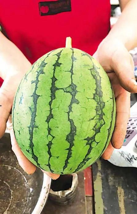 最近有瓜可以吃,揭秘明星幕后故事