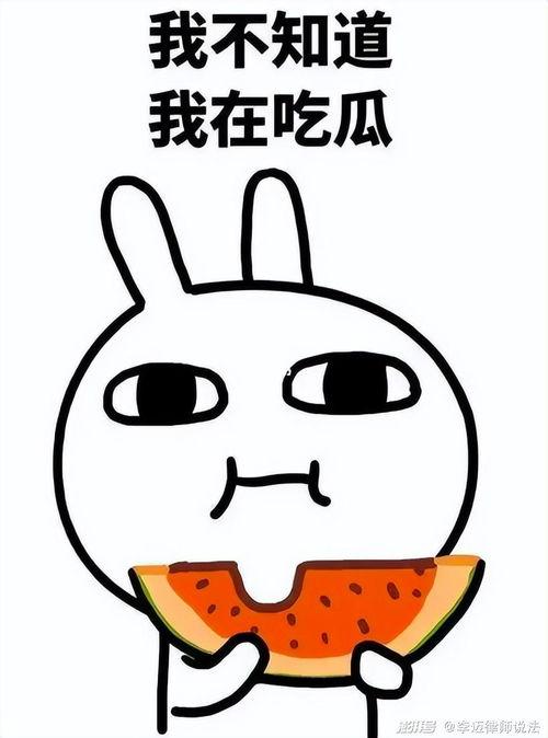 吃瓜乱发,揭秘网络舆论场中的是非曲直