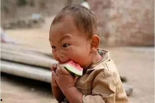 吃瓜乱发,揭秘网络舆论场中的是非曲直