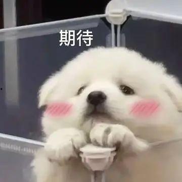 吃瓜乱发,揭秘网络舆论场中的是非曲直