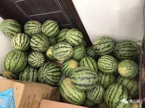 吃瓜就来瓜园的视频