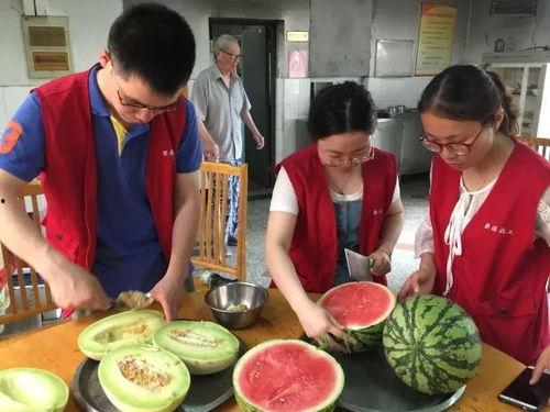 吃瓜爷爷奶奶,揭秘吃瓜爷爷奶奶的欢乐生活