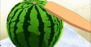 带你吃瓜史上最全,史上最全的娱乐圈八卦揭秘