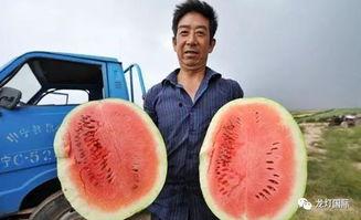 带你吃瓜史上最全,史上最全的娱乐圈八卦揭秘