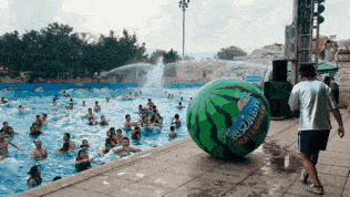 吃瓜戏水,吃瓜戏水，畅享清凉时光