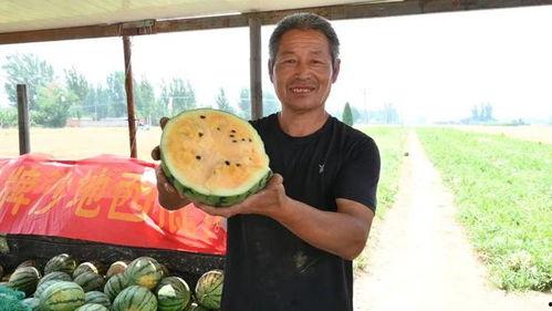 单县吃瓜新闻事件最新