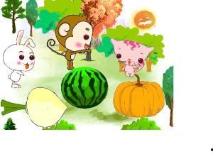 吃瓜娱乐小鲤鱼,揭秘娱乐圈幕后故事