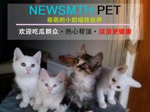 喵小咪 吃瓜群众