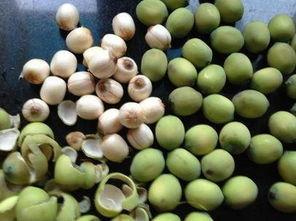 大莲子总是吃瓜,瓜界美食探索之旅