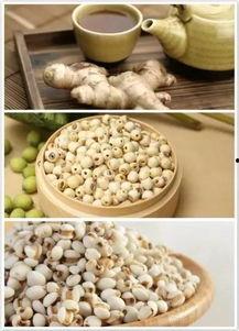 大莲子总是吃瓜,瓜界美食探索之旅