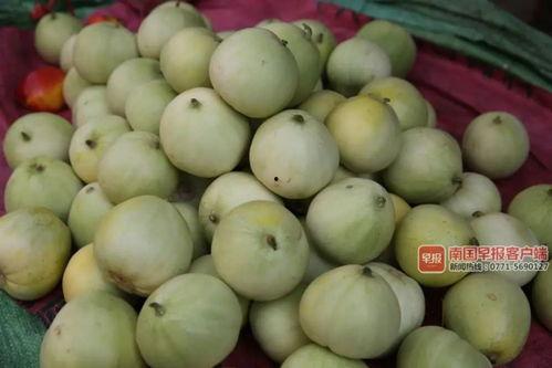 南宁吃瓜贴吧,揭秘本地热门事件背后的故事