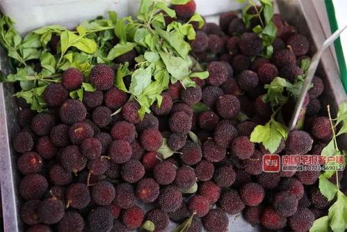 南宁吃瓜贴吧,揭秘本地热门事件背后的故事