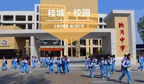 涪江中学吃瓜,揭秘校园里的“瓜田”风云