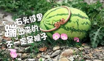 免费吃瓜入口直达