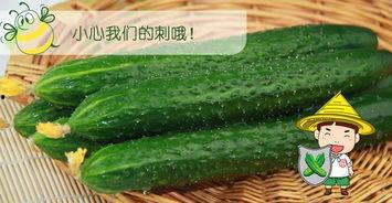 吃瓜配乐配什么