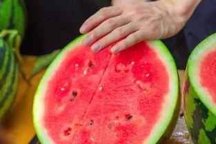 云南高校吃瓜网视频,揭秘校园美食风云录