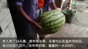 吃瓜榜完整视频