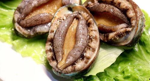 带你吃瓜迷你鲍鱼,带你探索带你吃瓜的味蕾盛宴