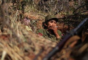 果敢吃瓜大结局,揭秘娱乐圈背后的真相与结局